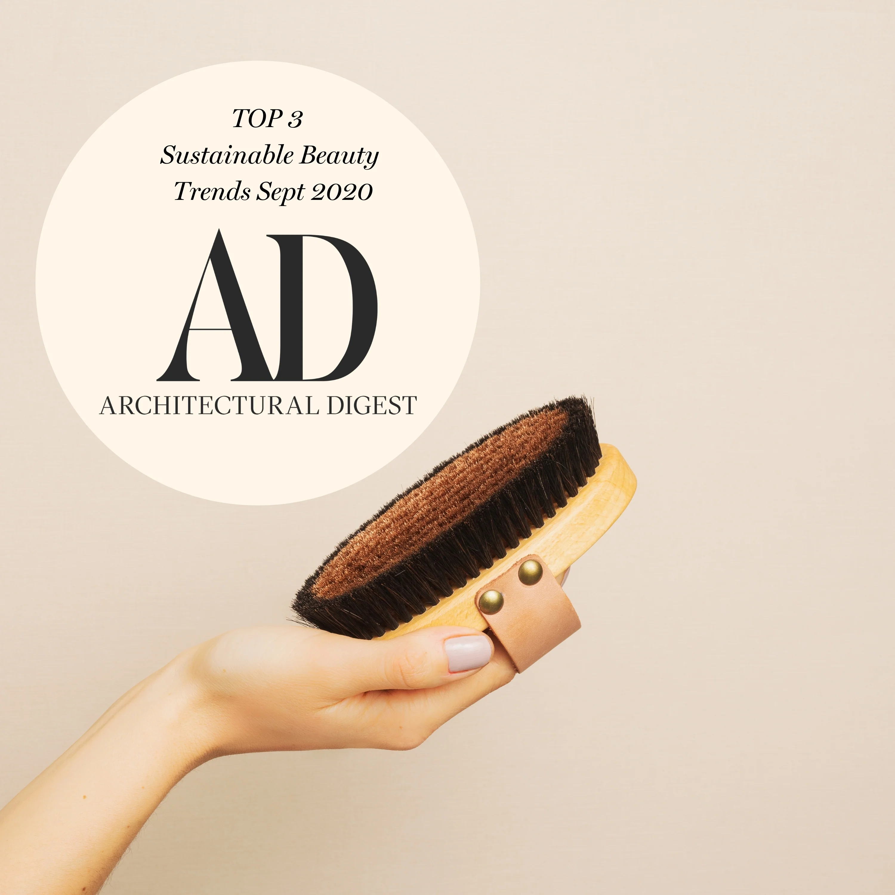 The Ionic Dry Brush – Trockenbürste - Image 5