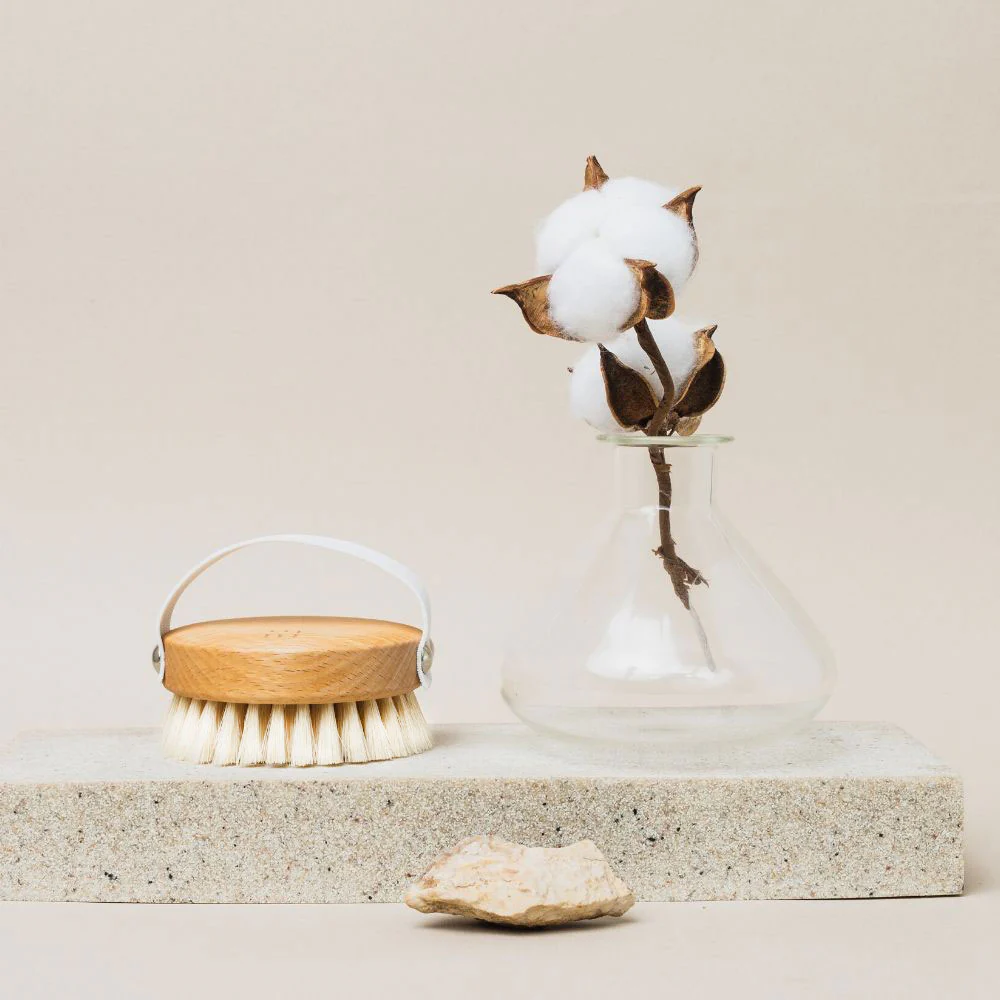 The Soft Dry Brush – Trockenbürste - Image 6