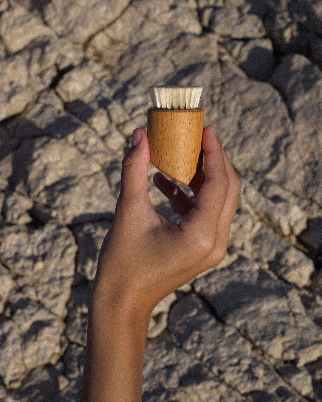 The Vegan Facial Dry Brush - Image 5